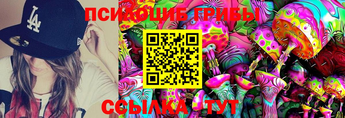 Сызрань  Псилоцибиновые грибы ЛСД  Вход с VPN  Псилоцибиновые грибы Psilocybe 